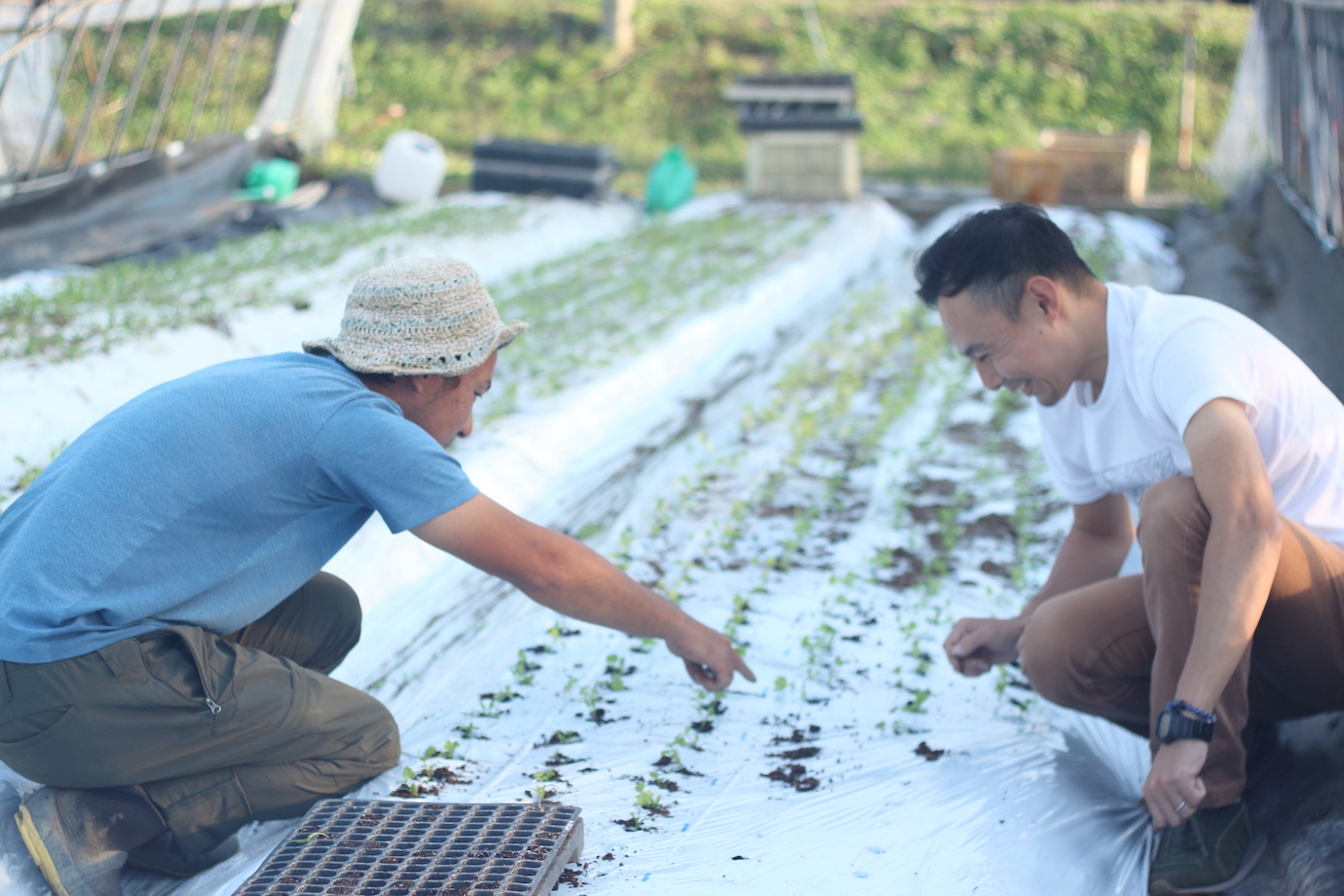 【終了】「サステナブルな旅」をテーマに、あなたが知る体験・ツアー・プロジェクトを教えてくれませんか？